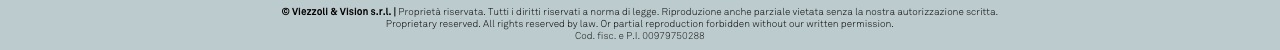 © Viezzoli & Vision s.r.l. | Proprietà riservata. Tutti i diritti riservati a norma di legge. Riproduzione anche parziale vietata senza la nostra autorizzazione scritta.
Proprietary reserved. All rights reserved by law. Or partial reproduction forbidden without our written permission. 
Cod. fisc. e P.I. 00979750288