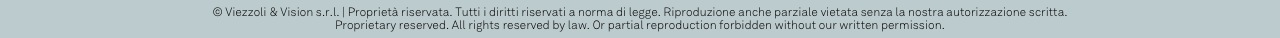 © Viezzoli & Vision s.r.l. | Proprietà riservata. Tutti i diritti riservati a norma di legge. Riproduzione anche parziale vietata senza la nostra autorizzazione scritta.
Proprietary reserved. All rights reserved by law. Or partial reproduction forbidden without our written permission.